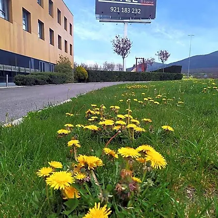 Alda Hotel 3*