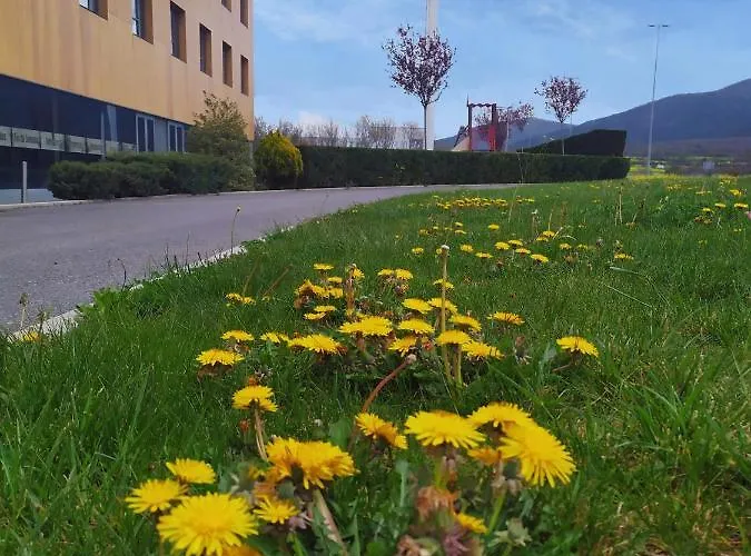 Alda エル・エスピナル